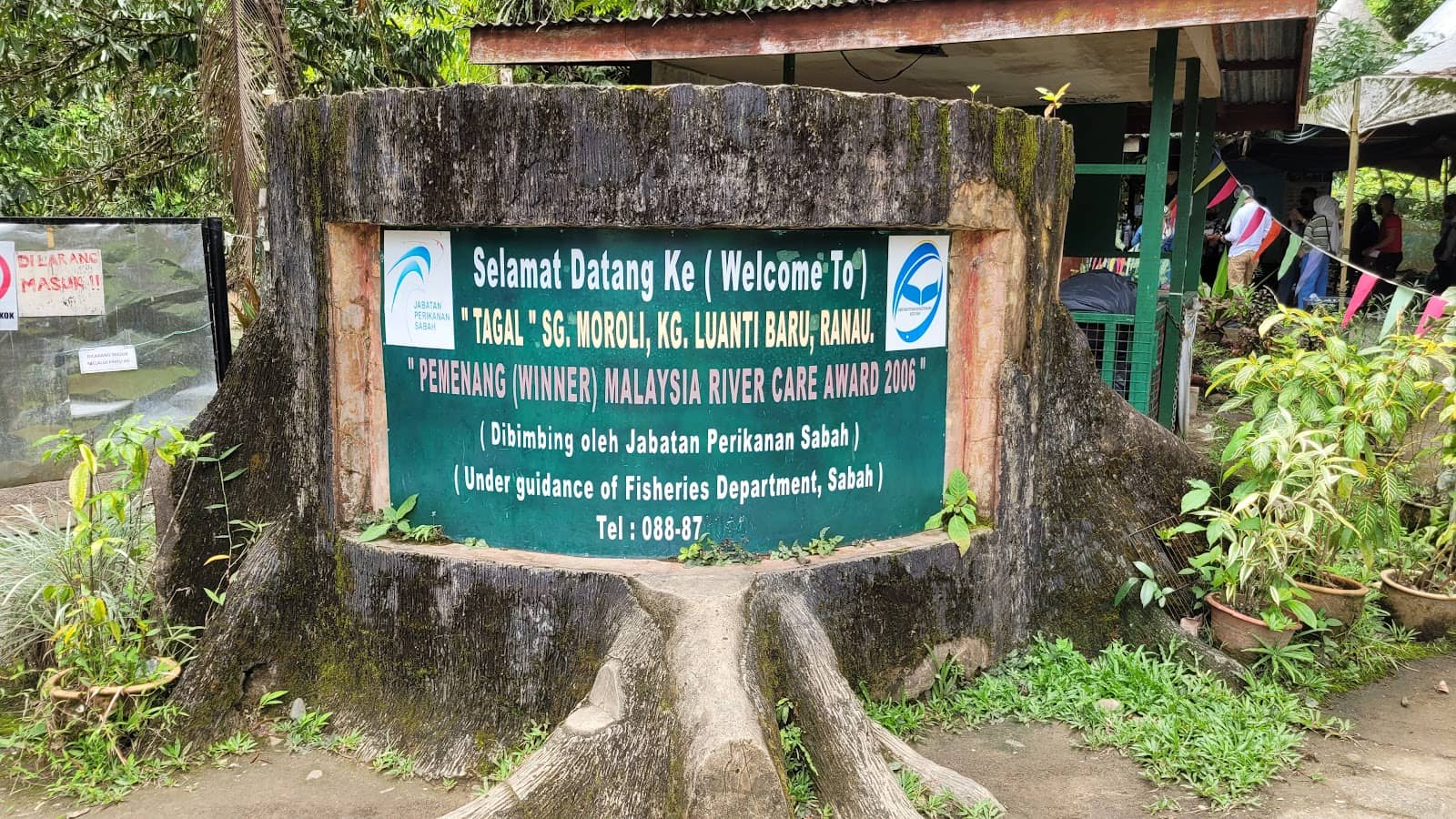 Swimming with the Fish