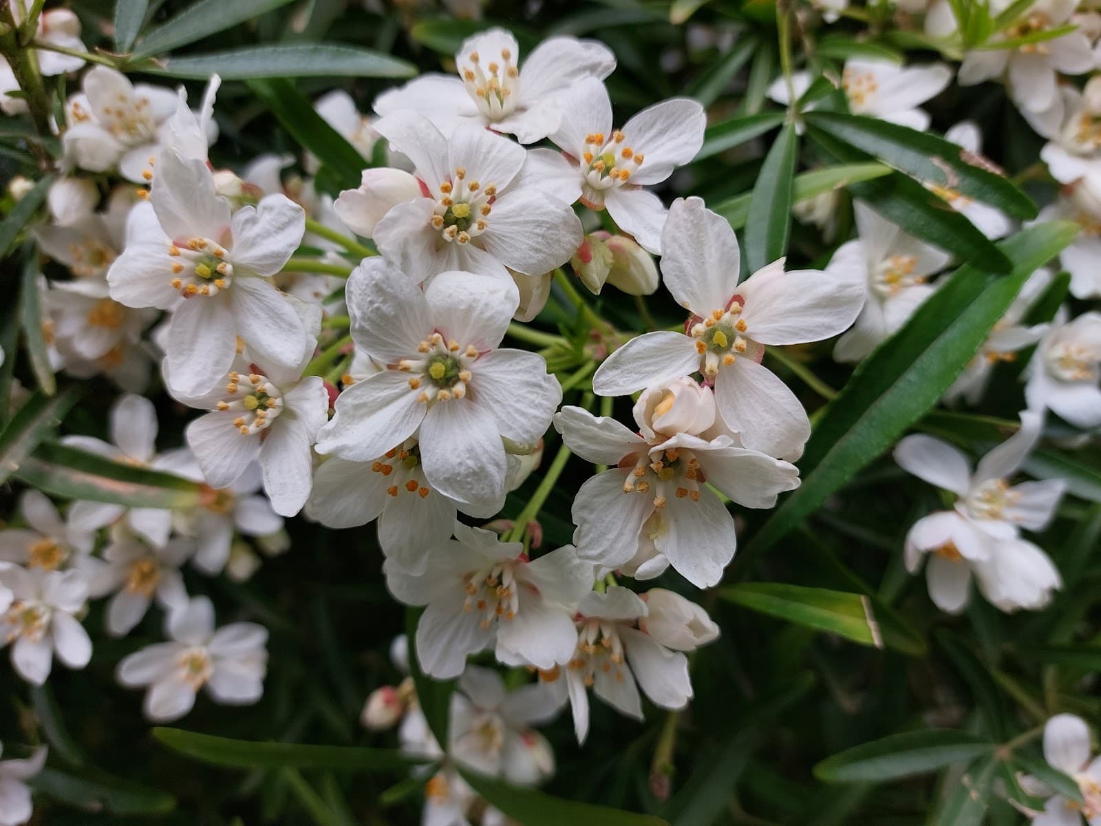 Newbury Park - Image 1