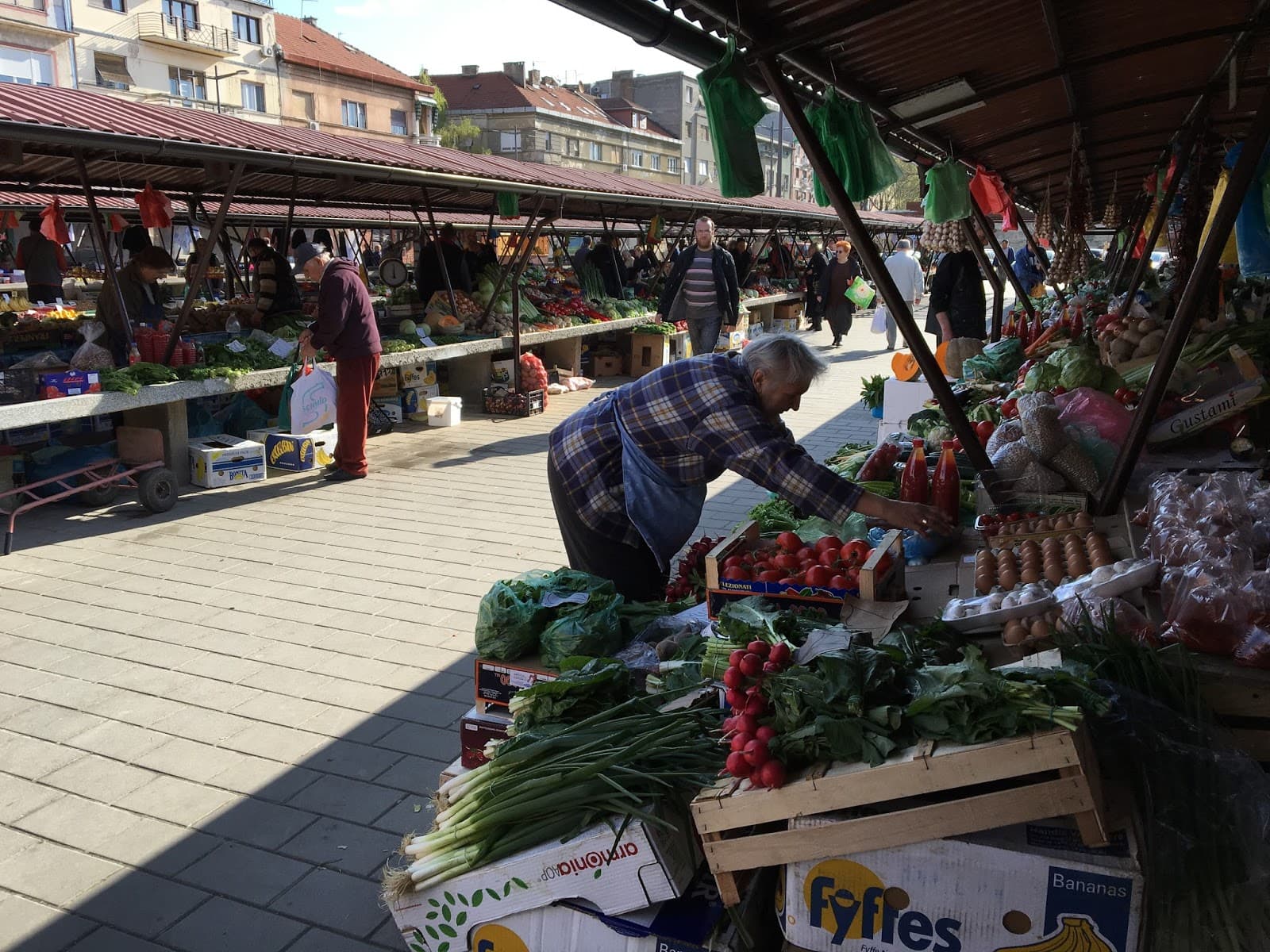 Fish Market - Image 1