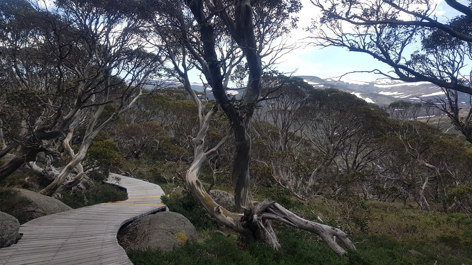 Charlotte Pass Lookout - Image 1
