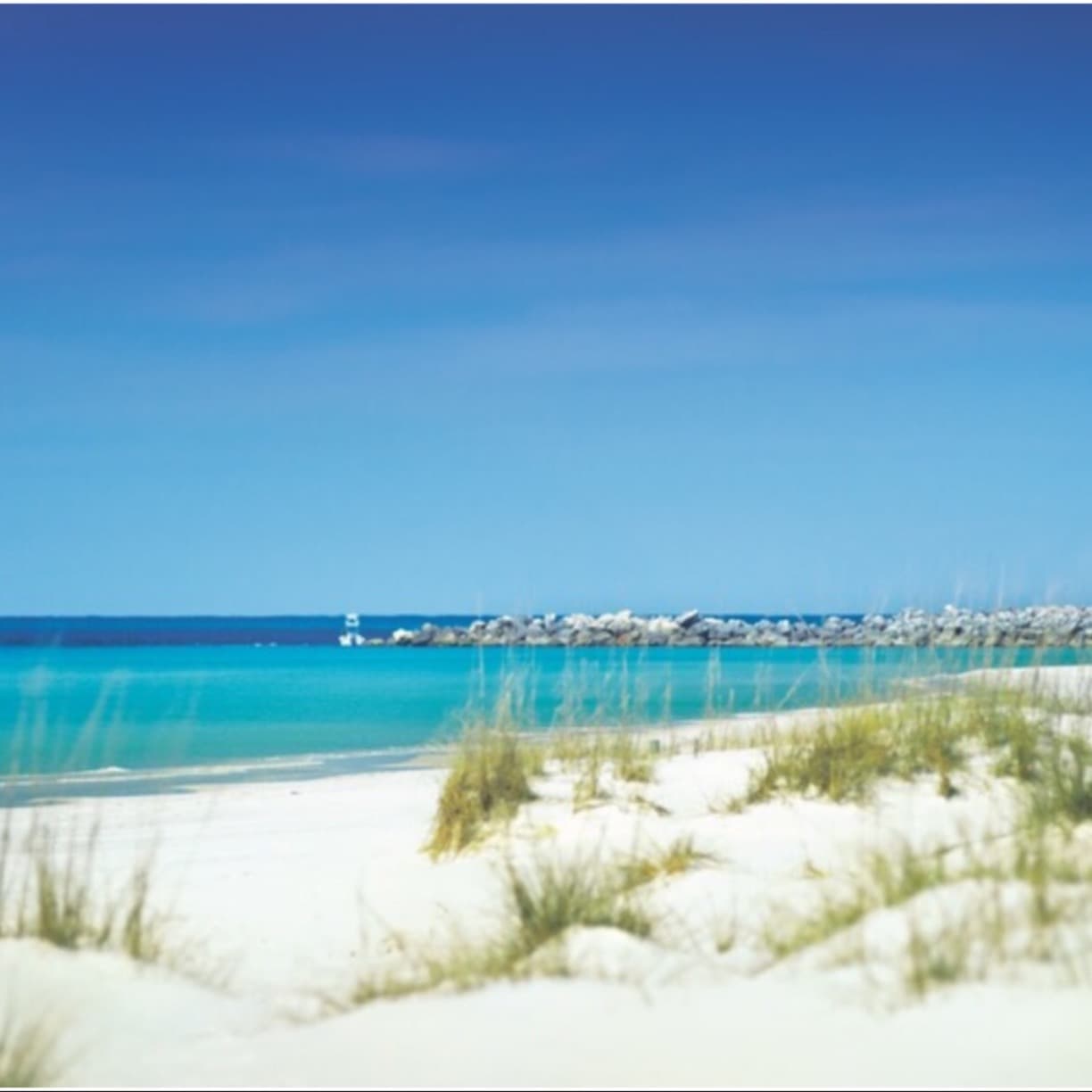 Shell Island Shuttle - Image 1