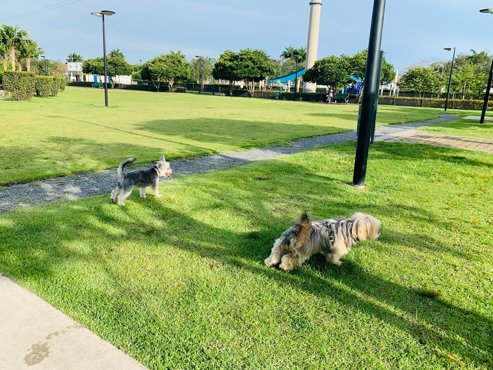 Trails and Tails Park - Image 1