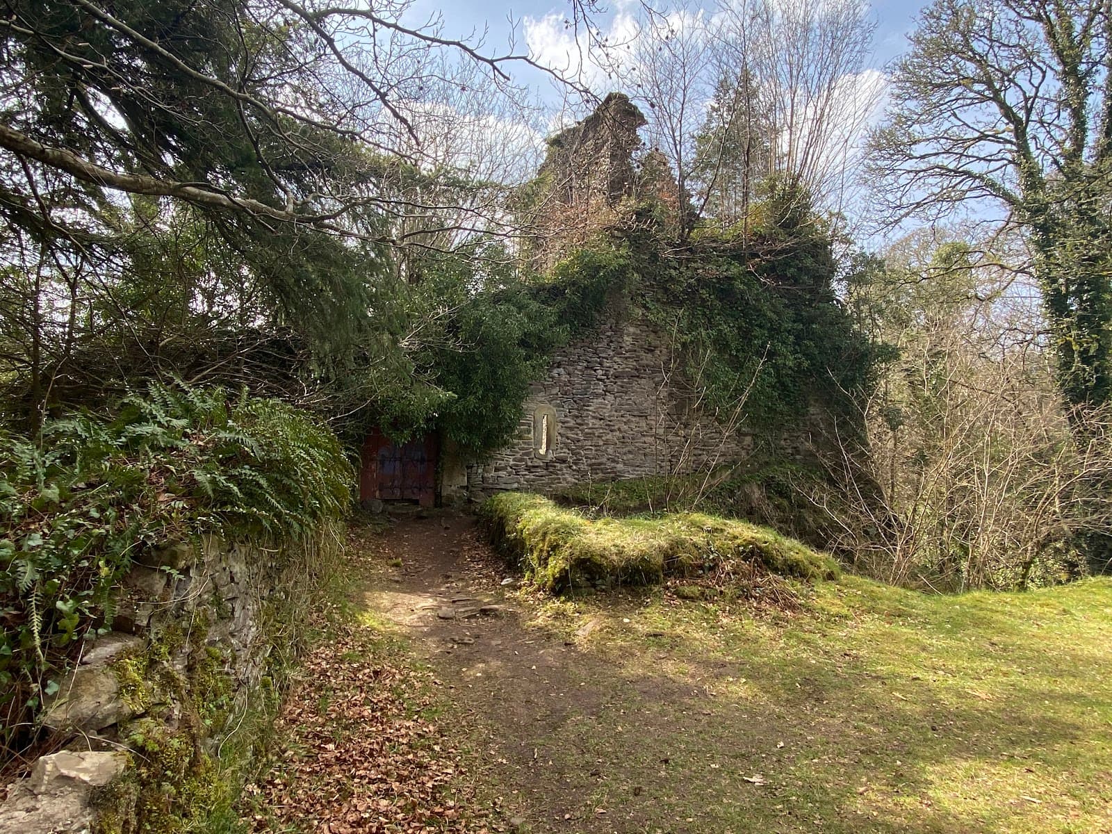 Corra Linn Peregrine Watchpoint - Image 1