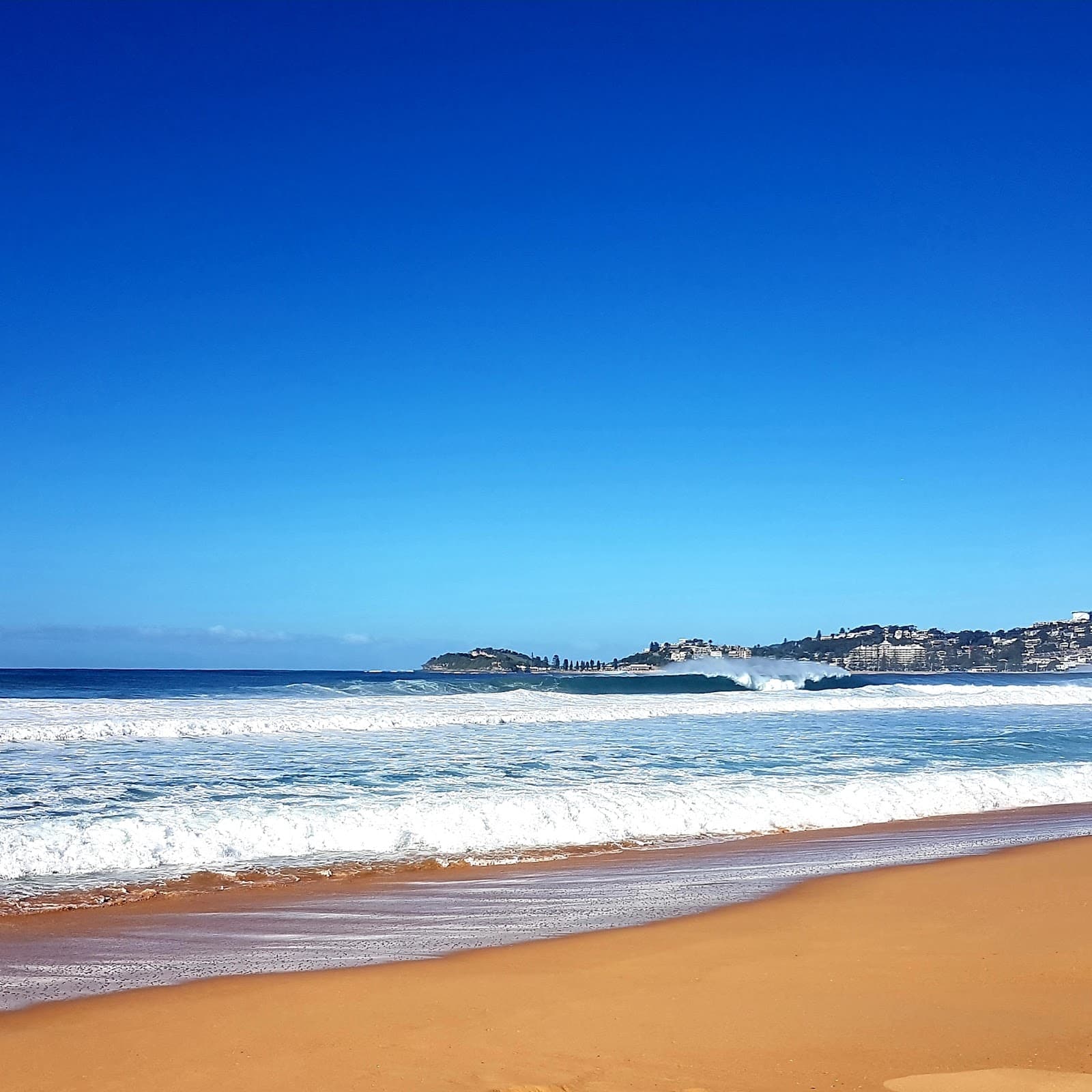 Wamberal Beach - Image 1