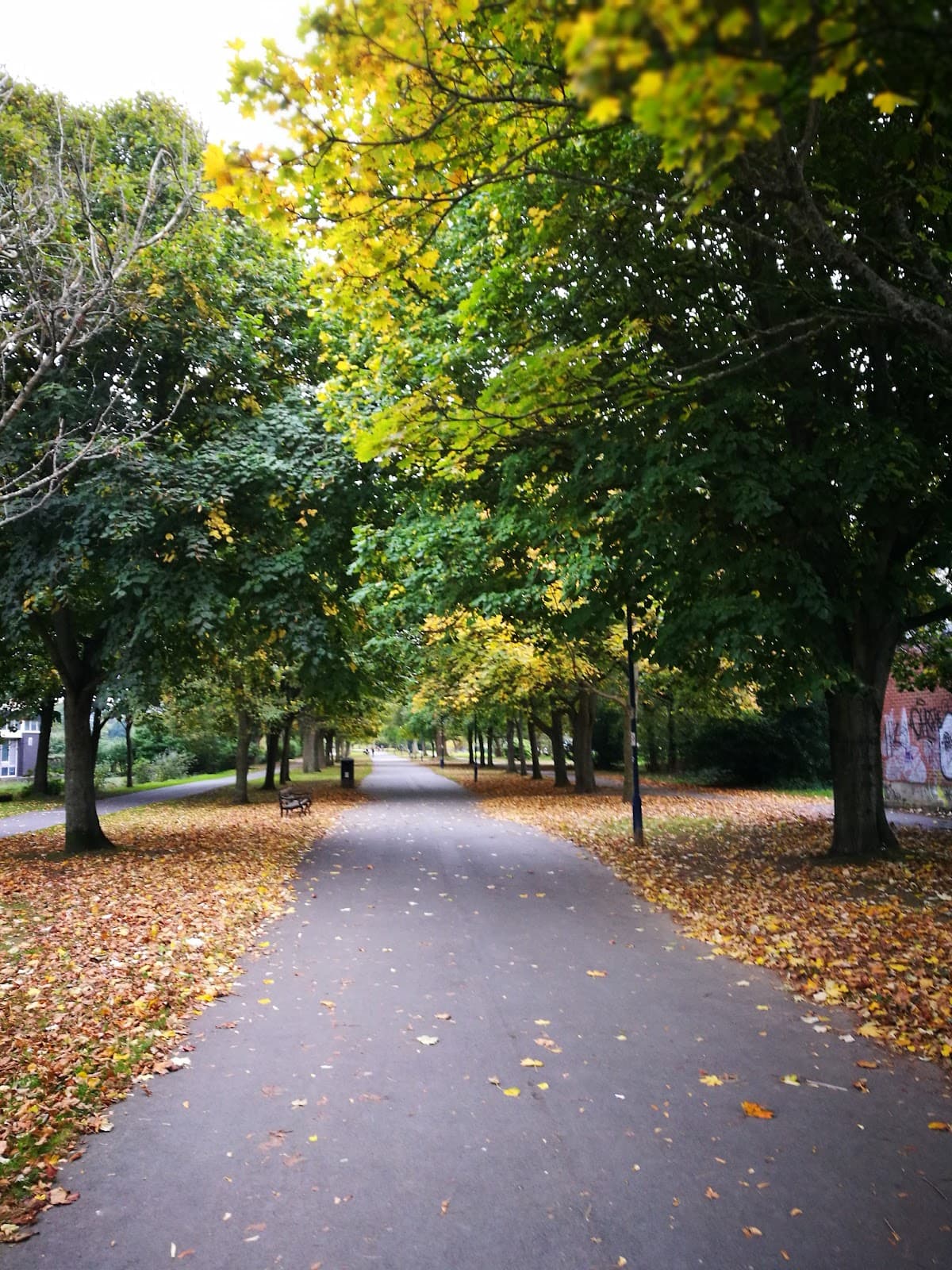 Plascrug Avenue - Image 1