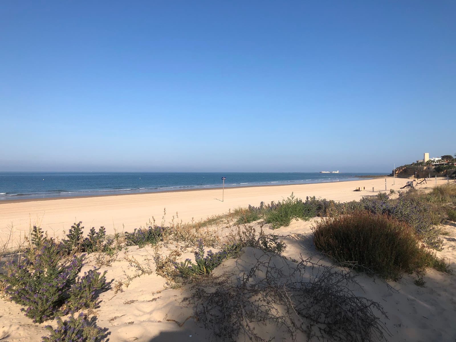 La Barrosa Beach (Novo Sancti Petri) - Image 1