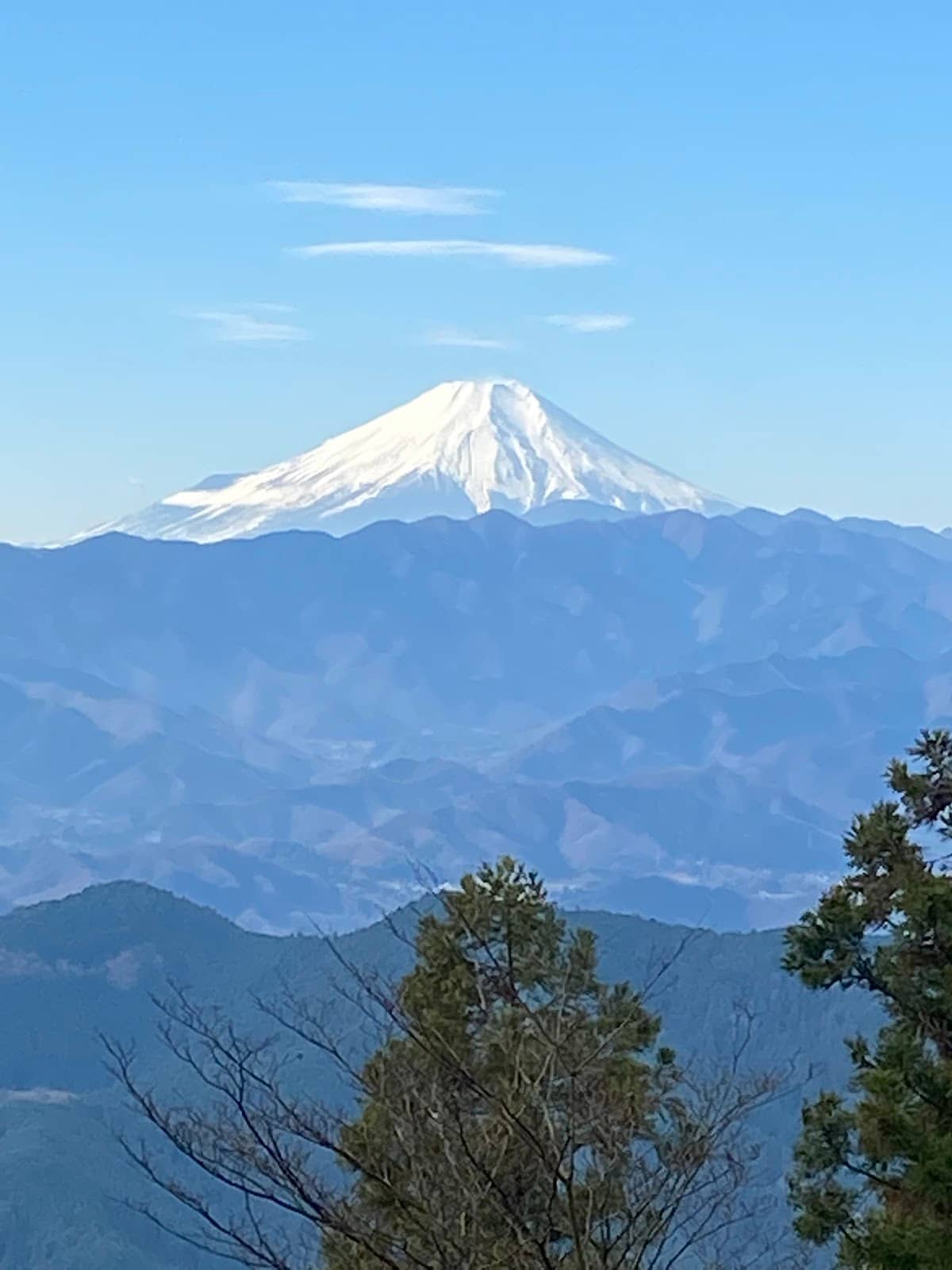 Rest Stop & Refreshments