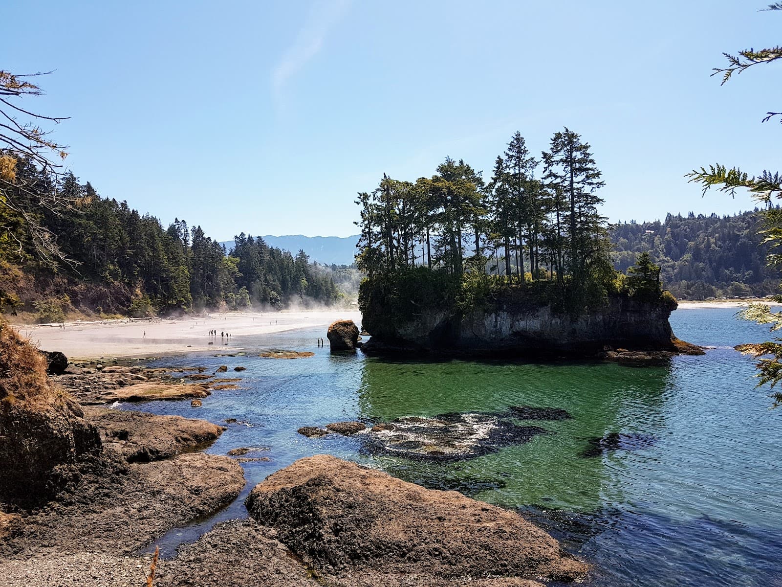 Tongue Point Tide Pools - Image 1
