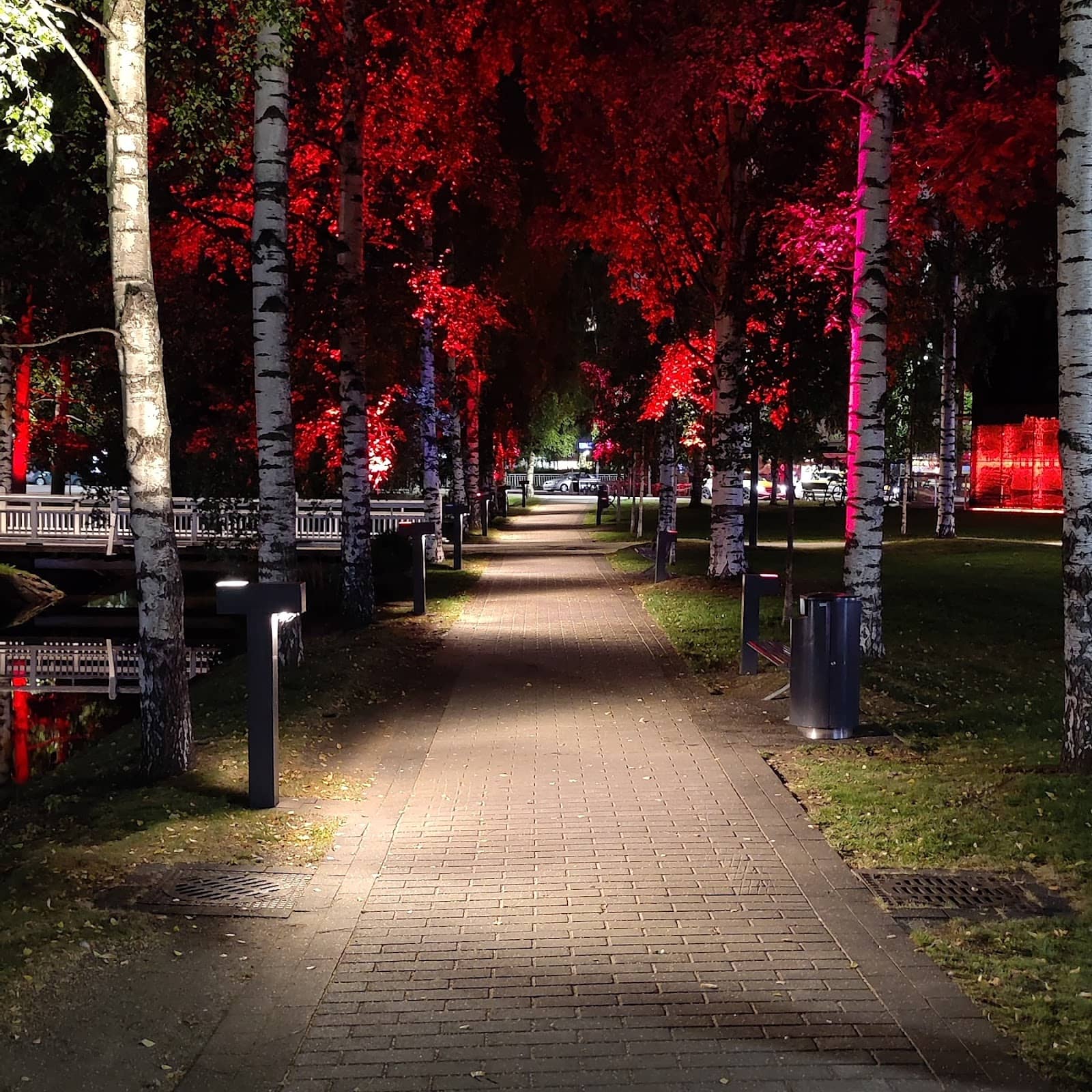 Lush Greenery & Pathways