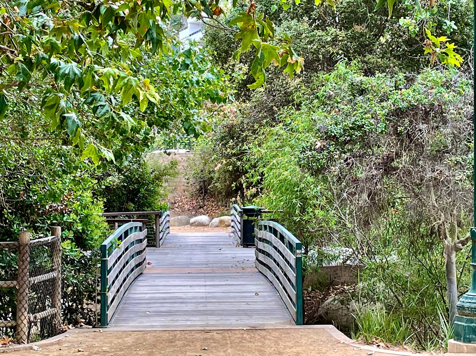 Riparian Stream Walk
