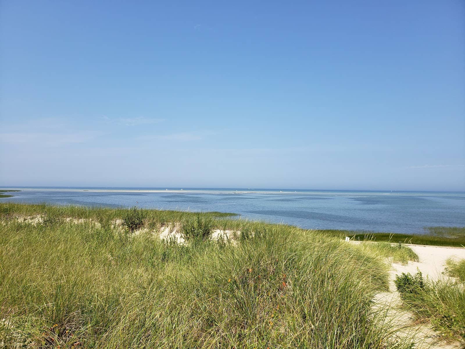 Oyster Farming Views