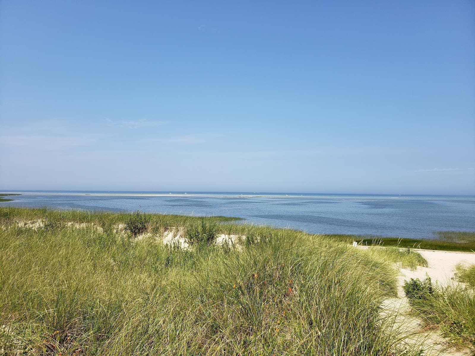 Crowes Pasture Conservation Area - Image 1