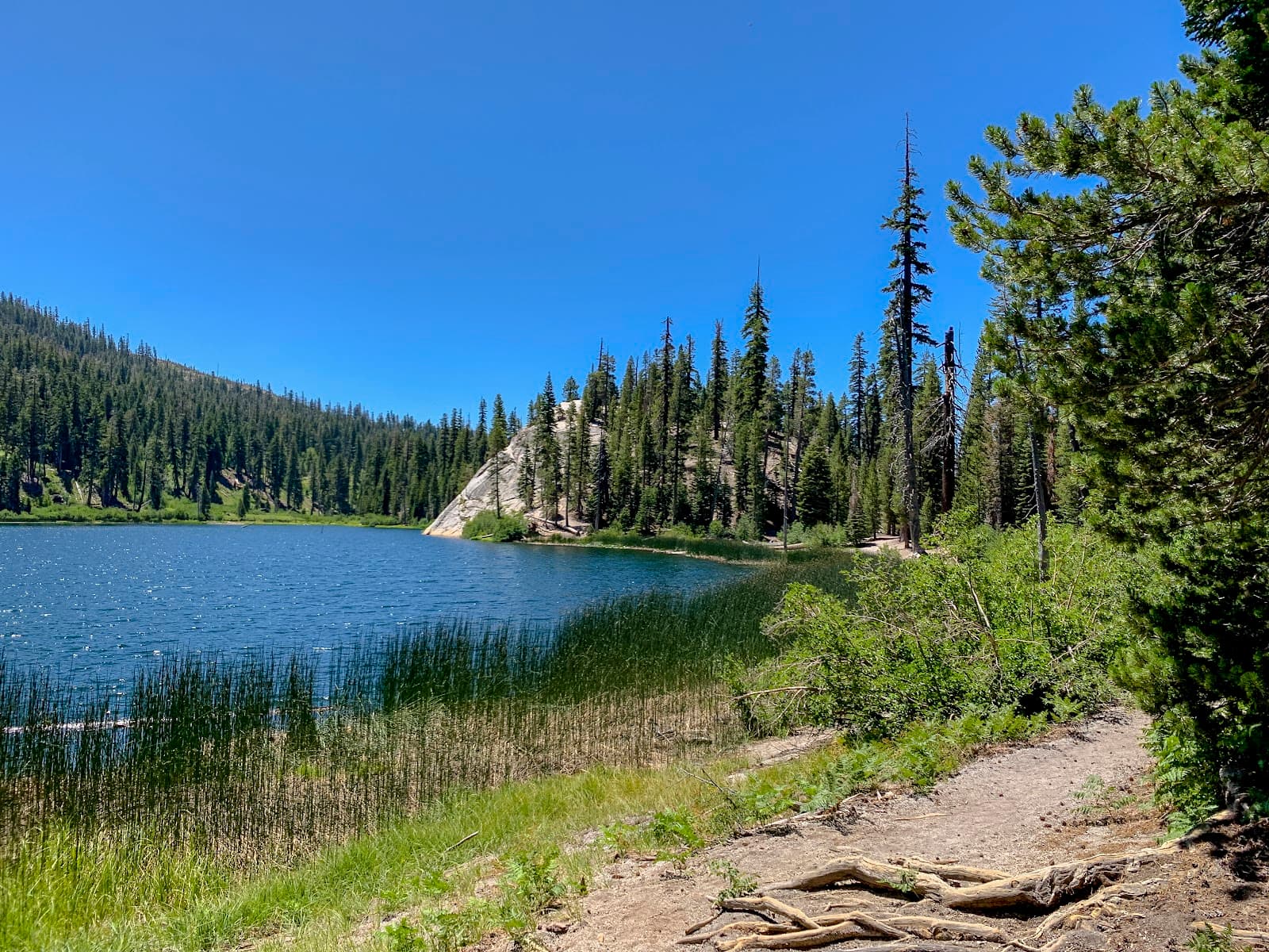 Sotcher Lake - Image 1