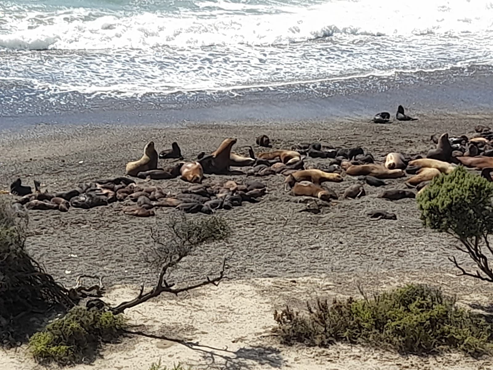 Punta Norte Reserve - Image 1