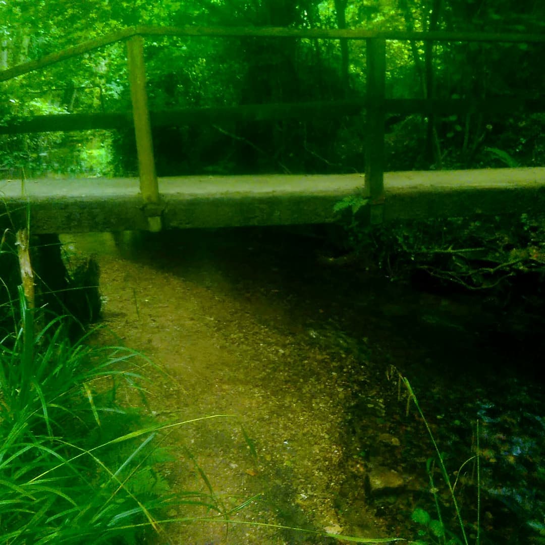 Uplyme Millennium Green and River Lim Walk - Image 1