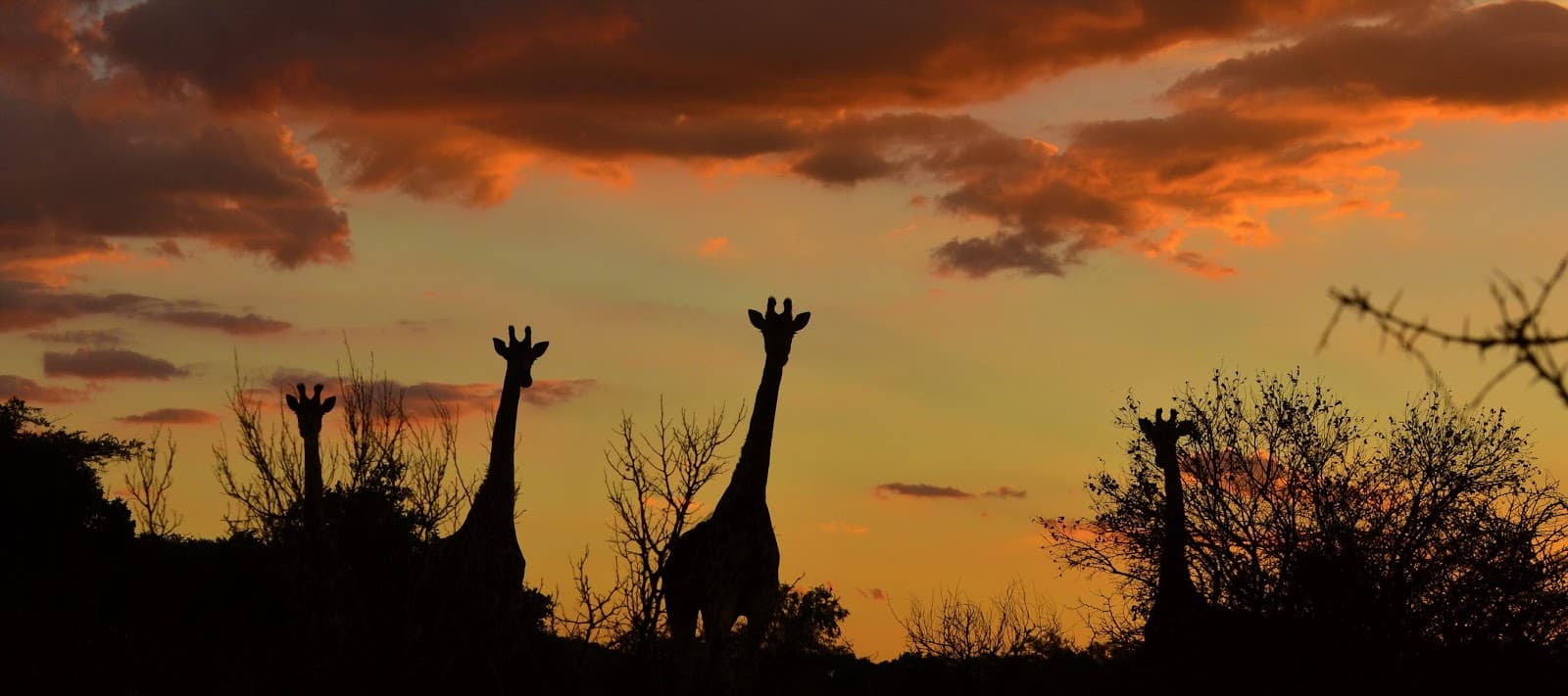 Silkaatsnek Nature Reserve - Image 1
