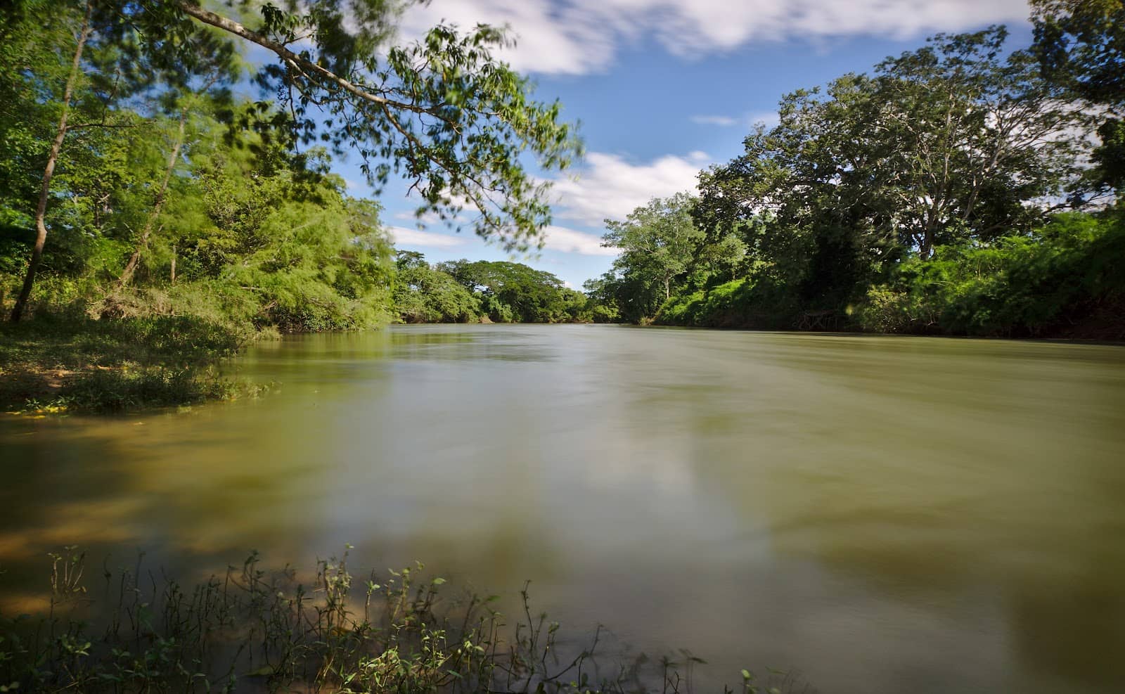 River Swimming