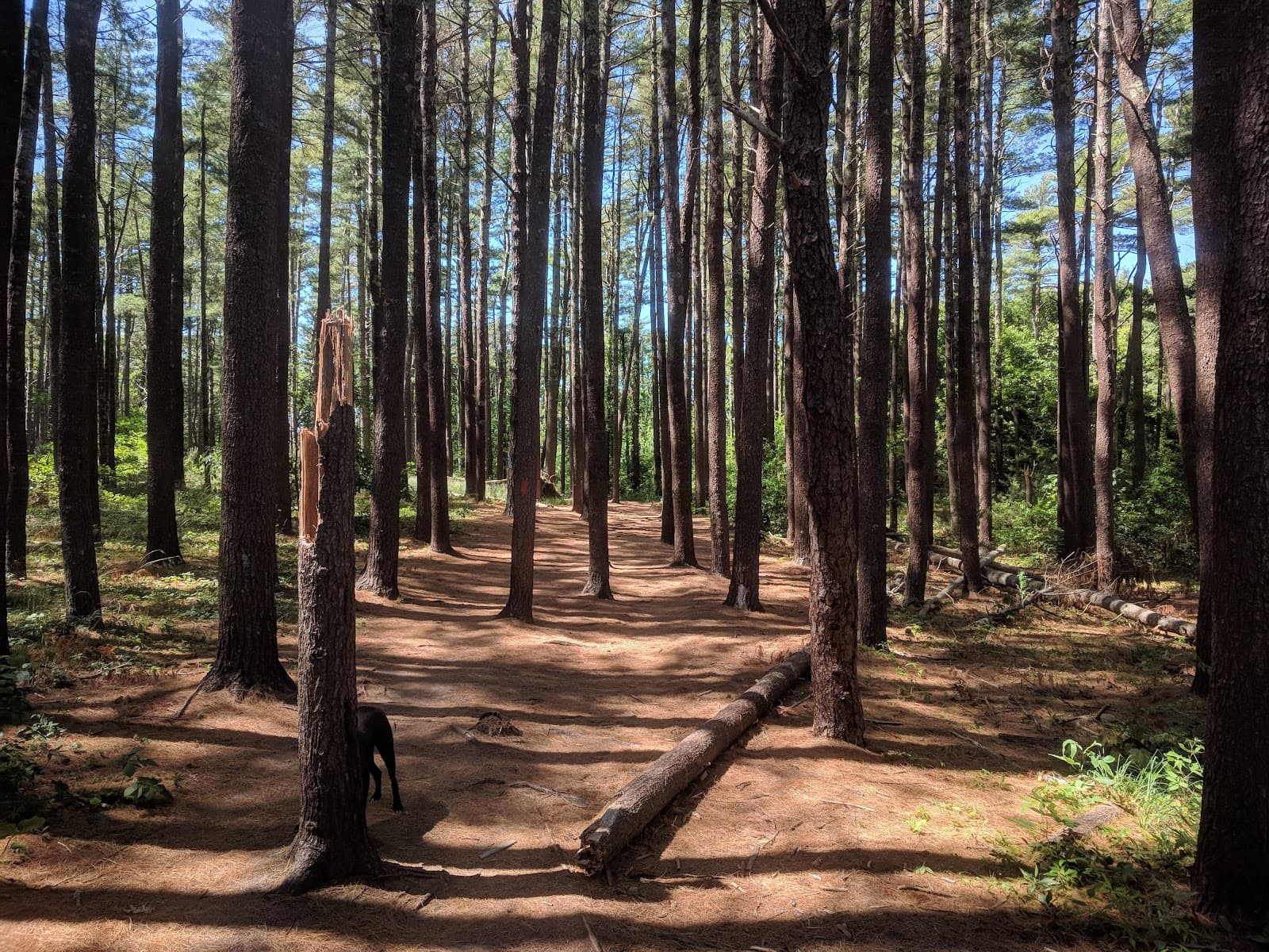 Talbot's Point Conservation Area - Image 1