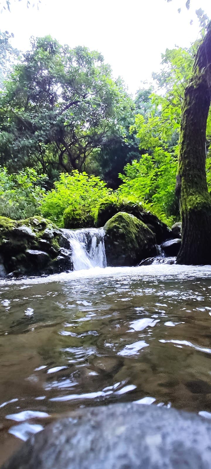 Amatlán de Quetzalcóatl - Image 1