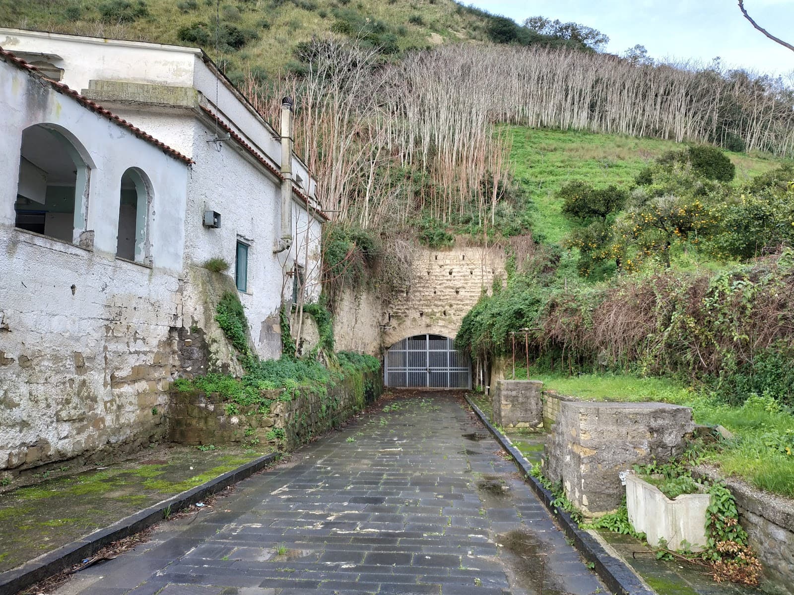 Grotta di Cocceio - Image 1