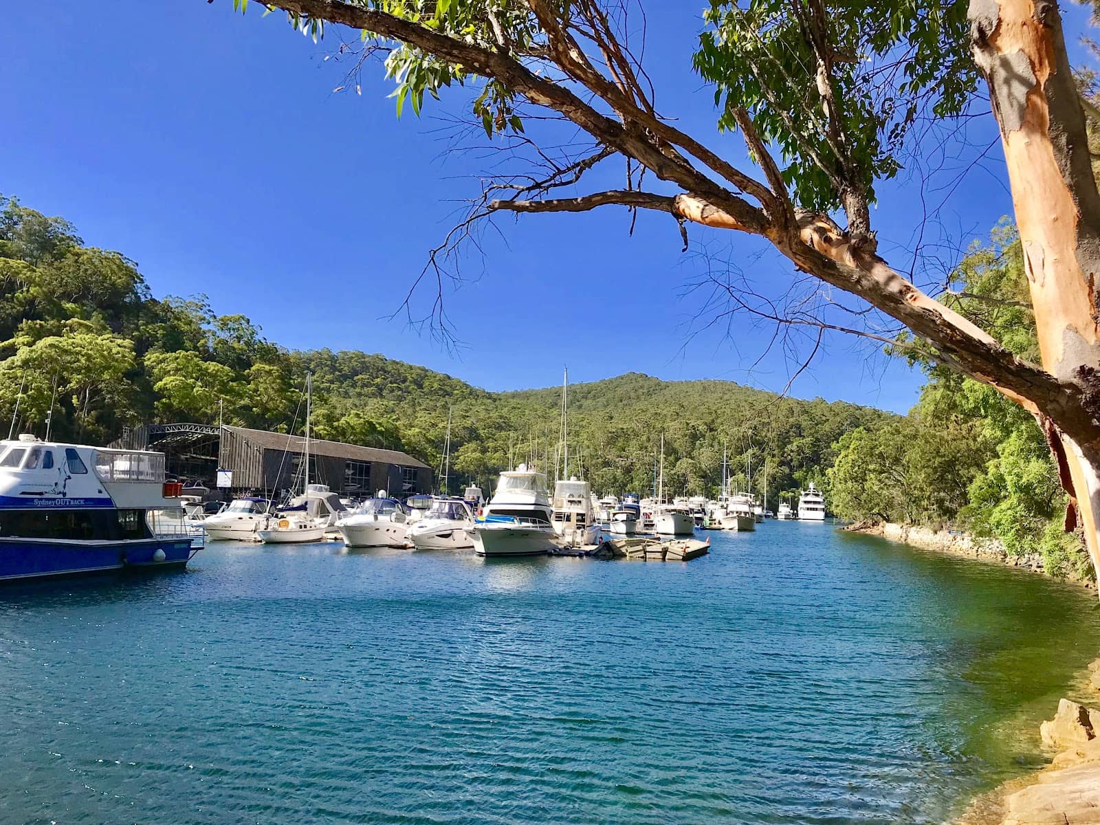 Picnic and BBQ Spots