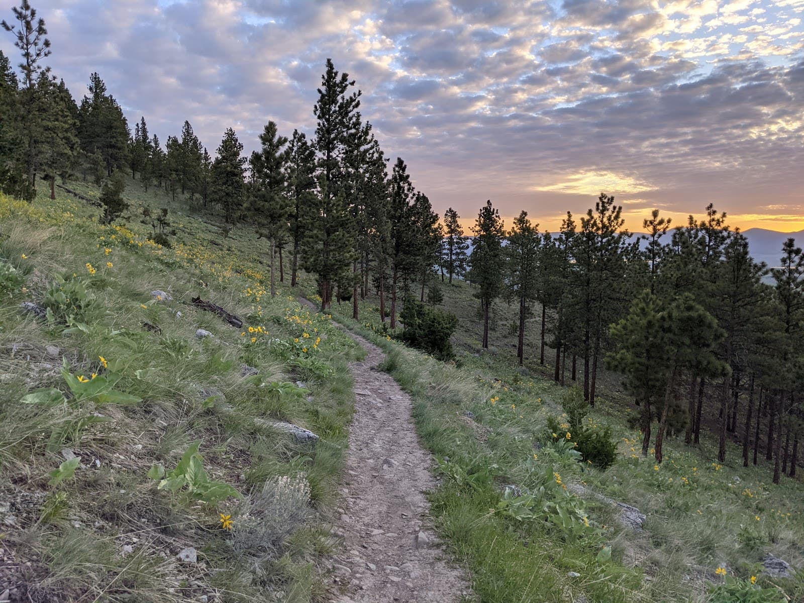 Mount Helena City Park Helena - Image 1