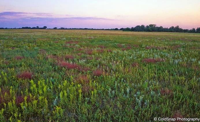 Bluestem Prairie SNA - Image 1