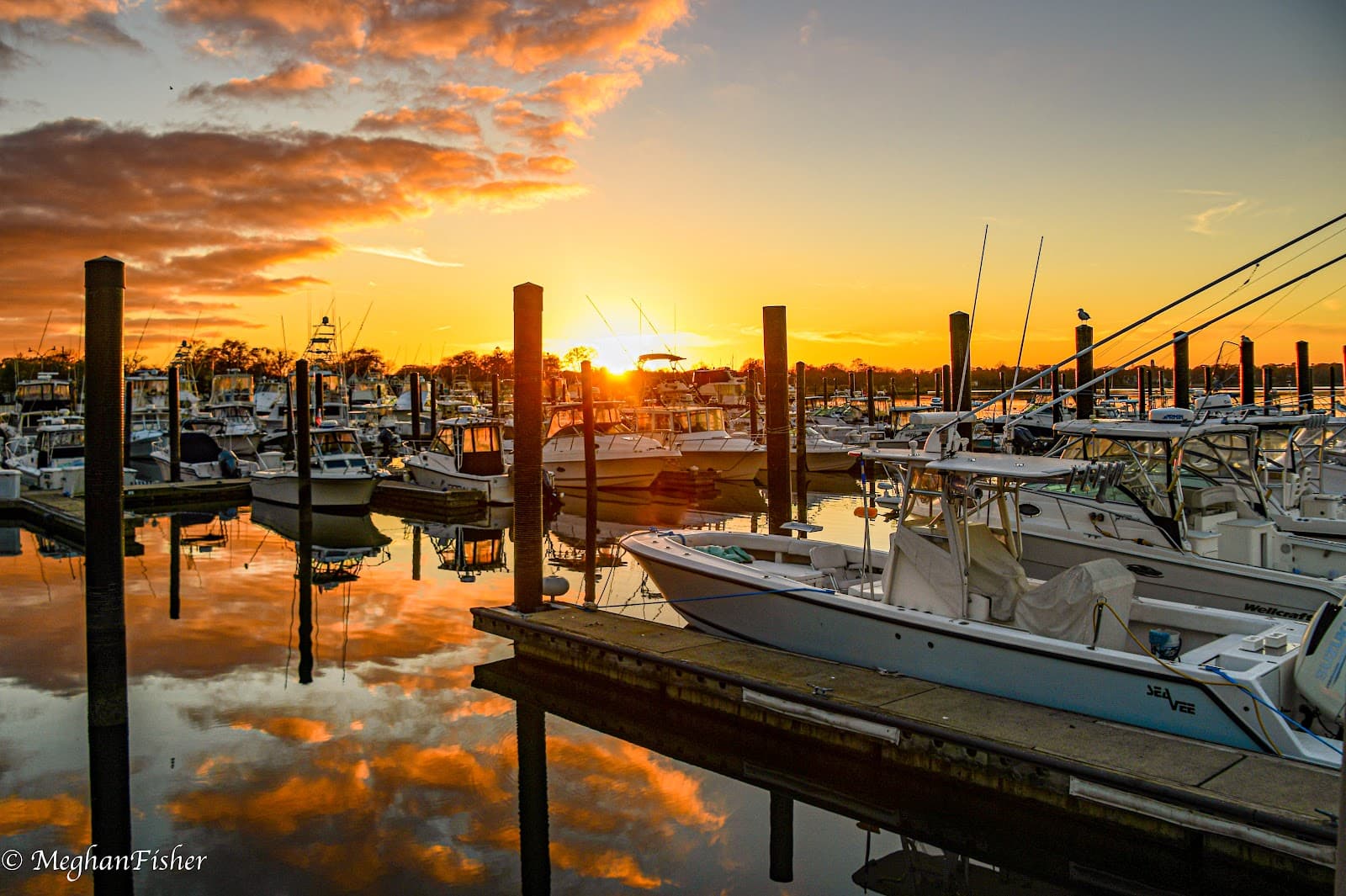 Belmar Marina & Shark River Inlet - Image 1