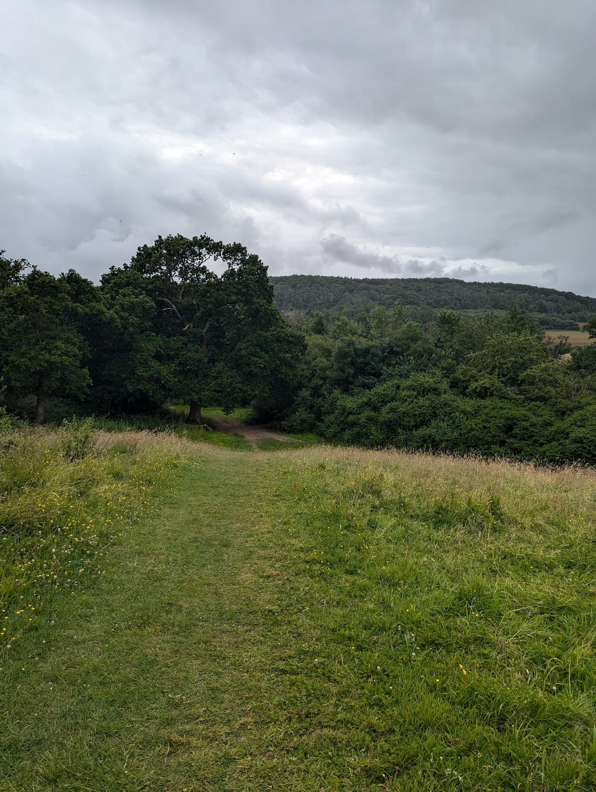 Cwm George & Casehill Woods - Image 1