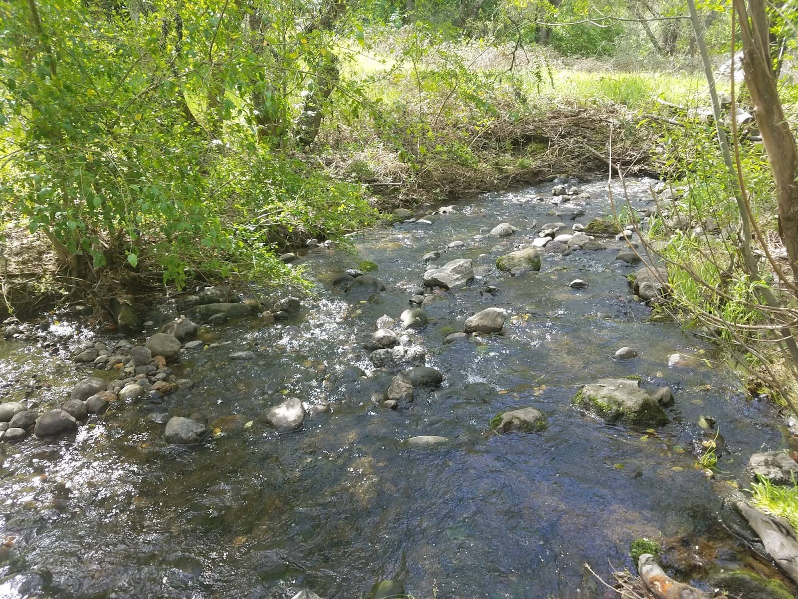 Seasonal Creek Views
