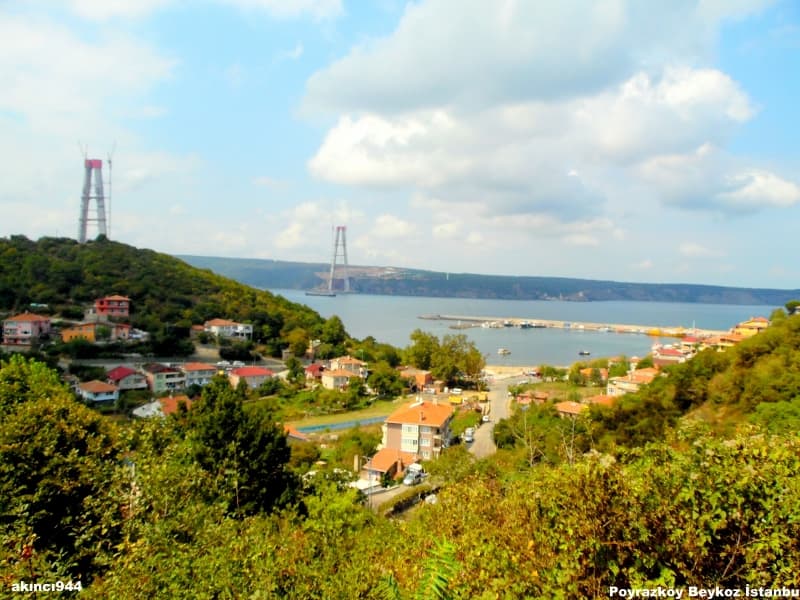 Poyrazköy - Image 1