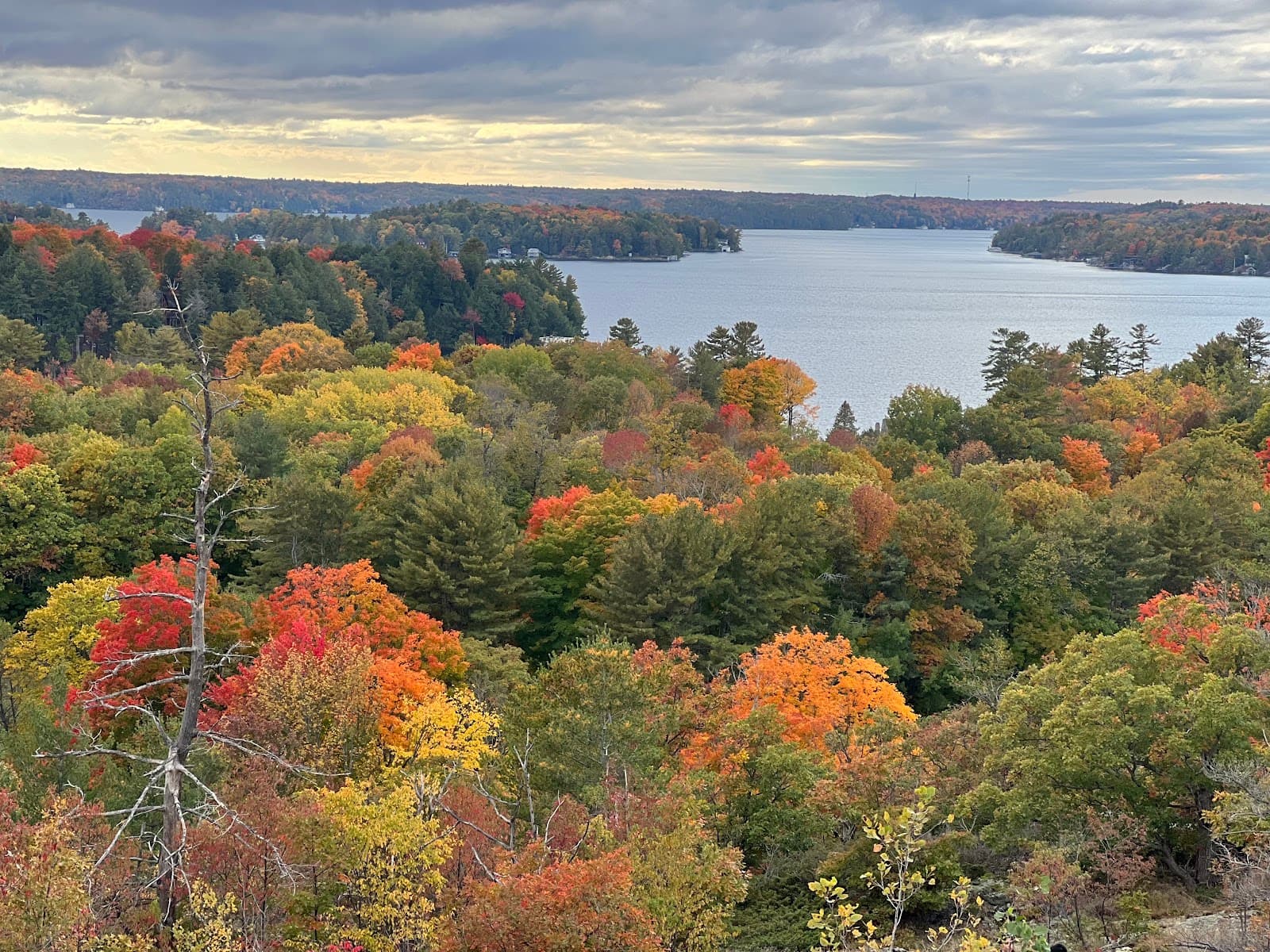 Huckleberry Rock Lookout - Image 1