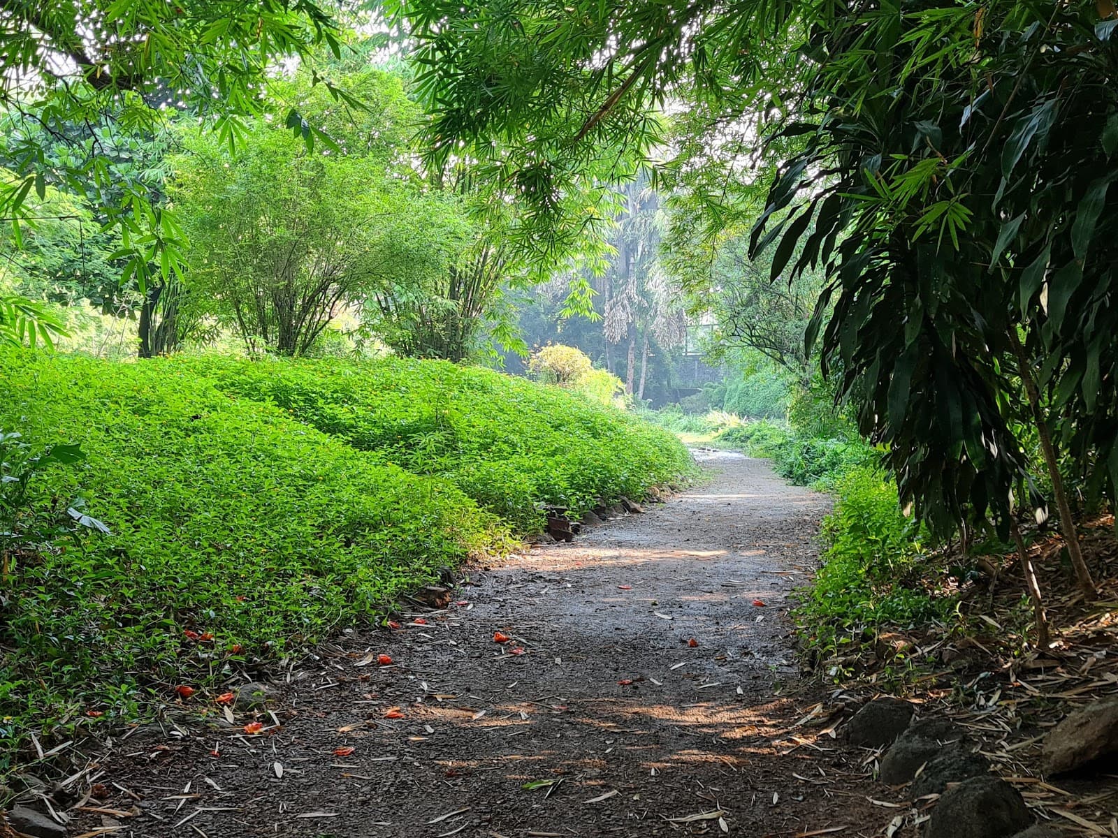 Osho Teerth Park - Image 1