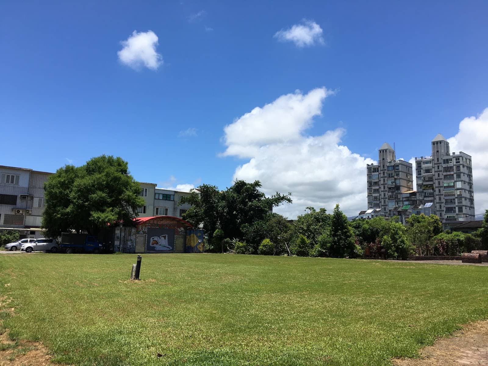 Bird Head Drain Spouts