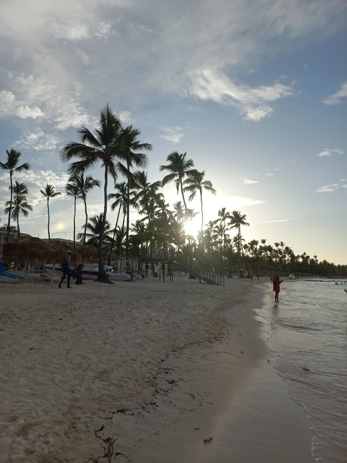 Cabeza de Toro Punta Cana - Image 1