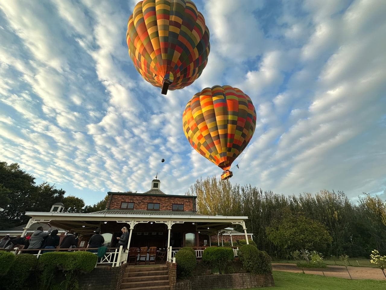 Bill Harrop's Original Balloon Safaris - Image 1