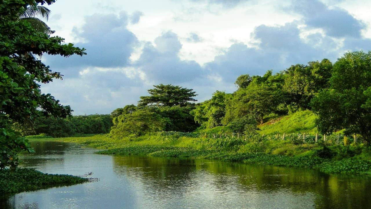Scenic Wetland Views
