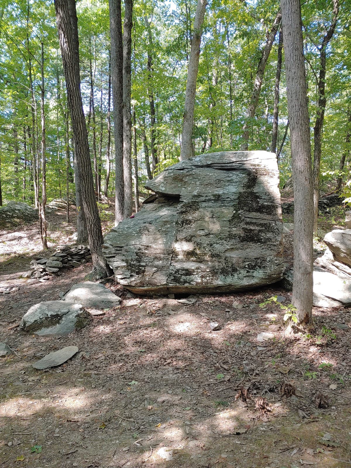 Hackett Hill Park - Image 1