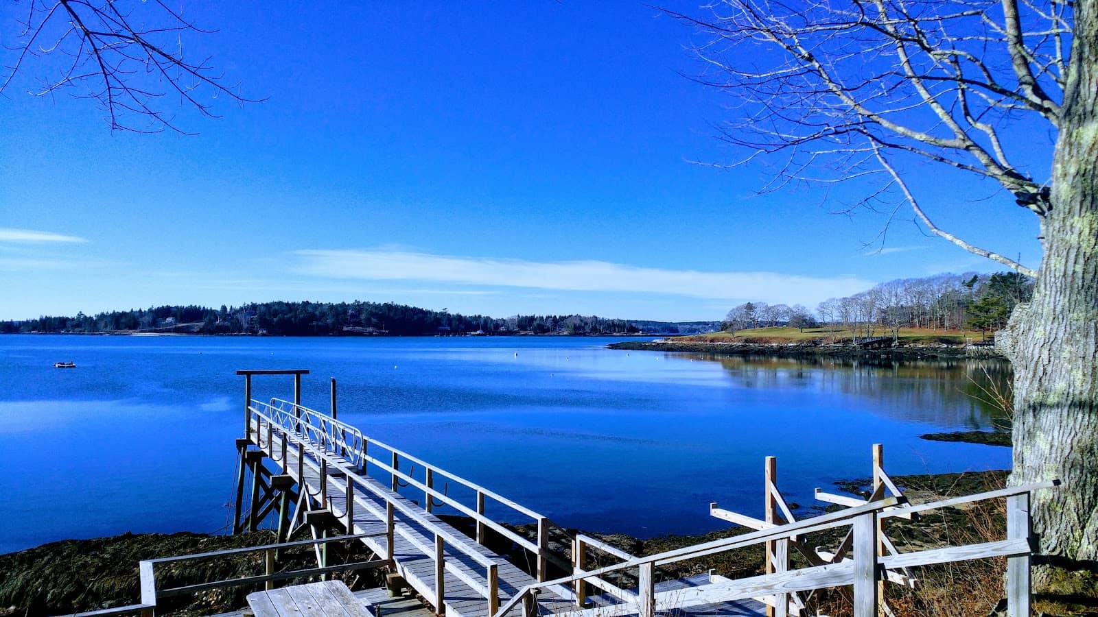 Water Access & Swimming