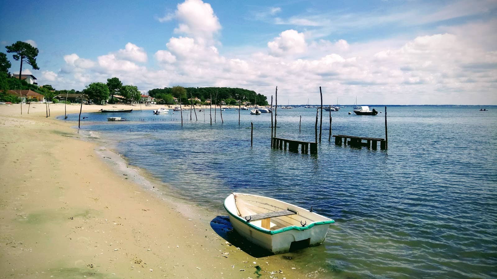 Beach & Surf Culture