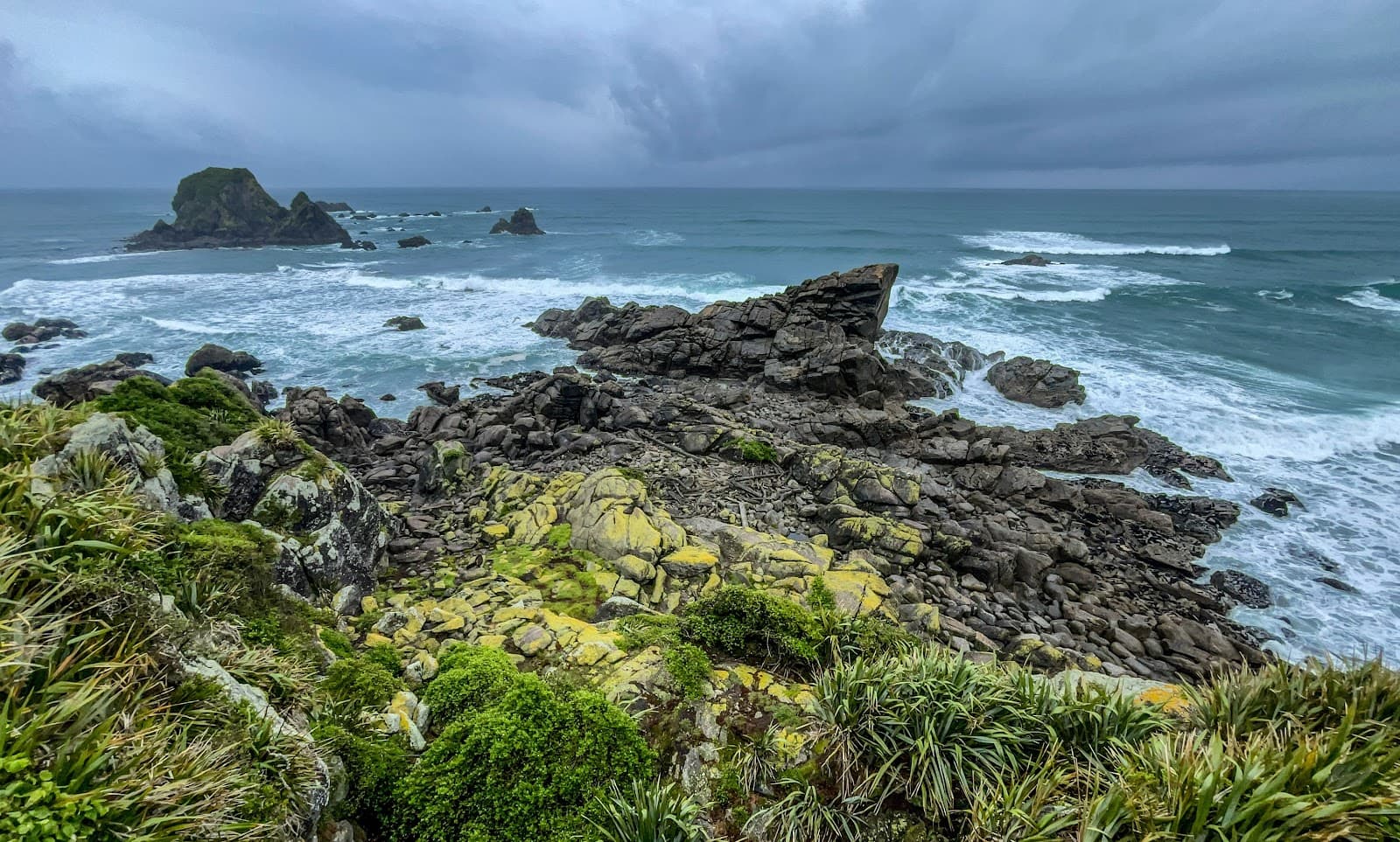 Cape Foulwind Walkway & Seal Colony - Image 1