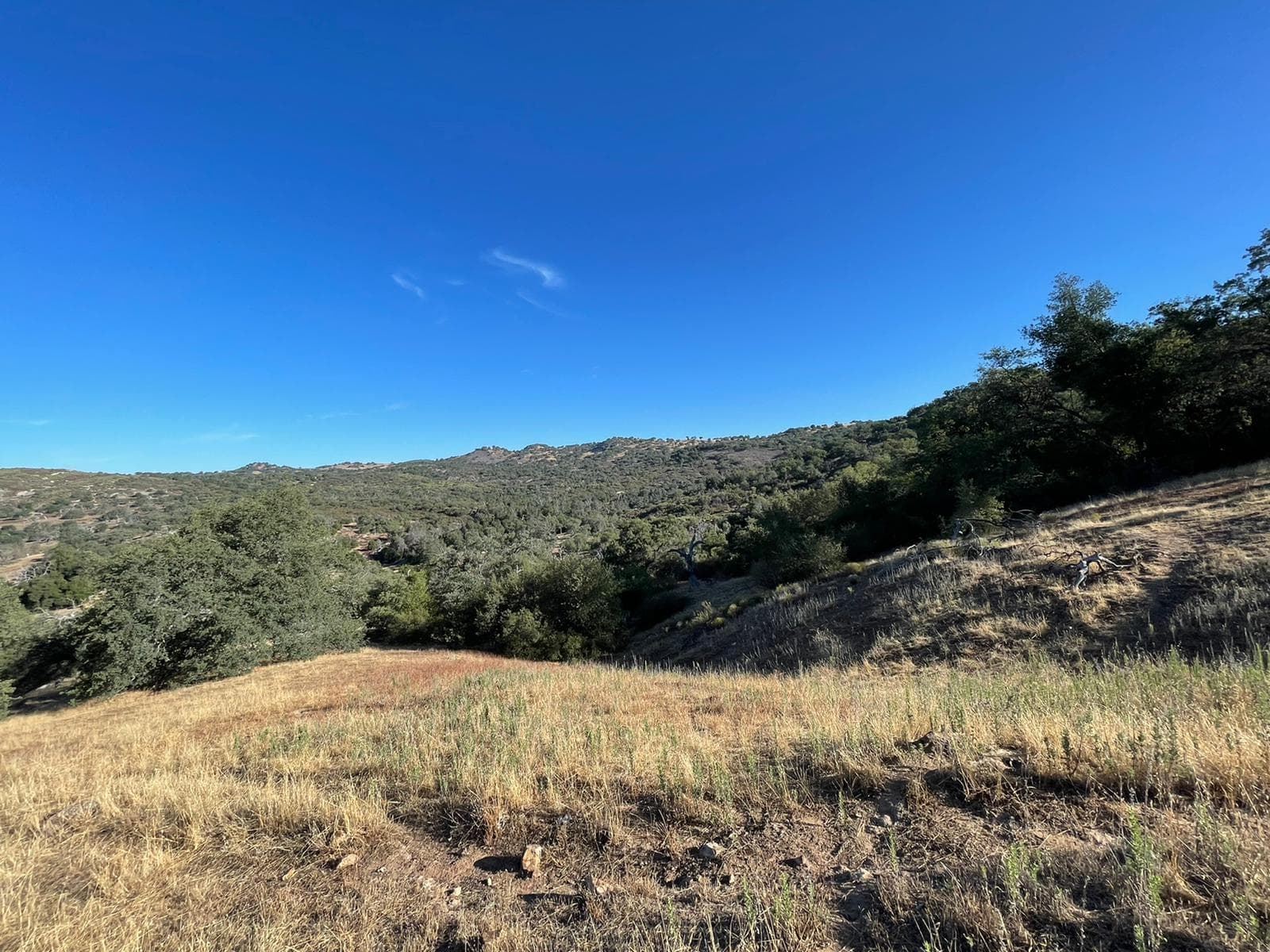 Santa Ysabel Open Space Preserve (West) - Image 1