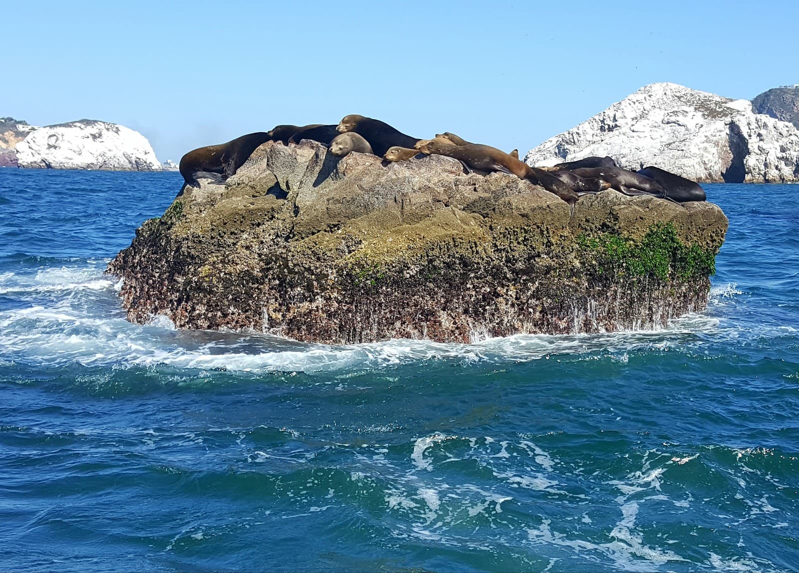 Isla de la Piedra (Stone Island) - Image 1