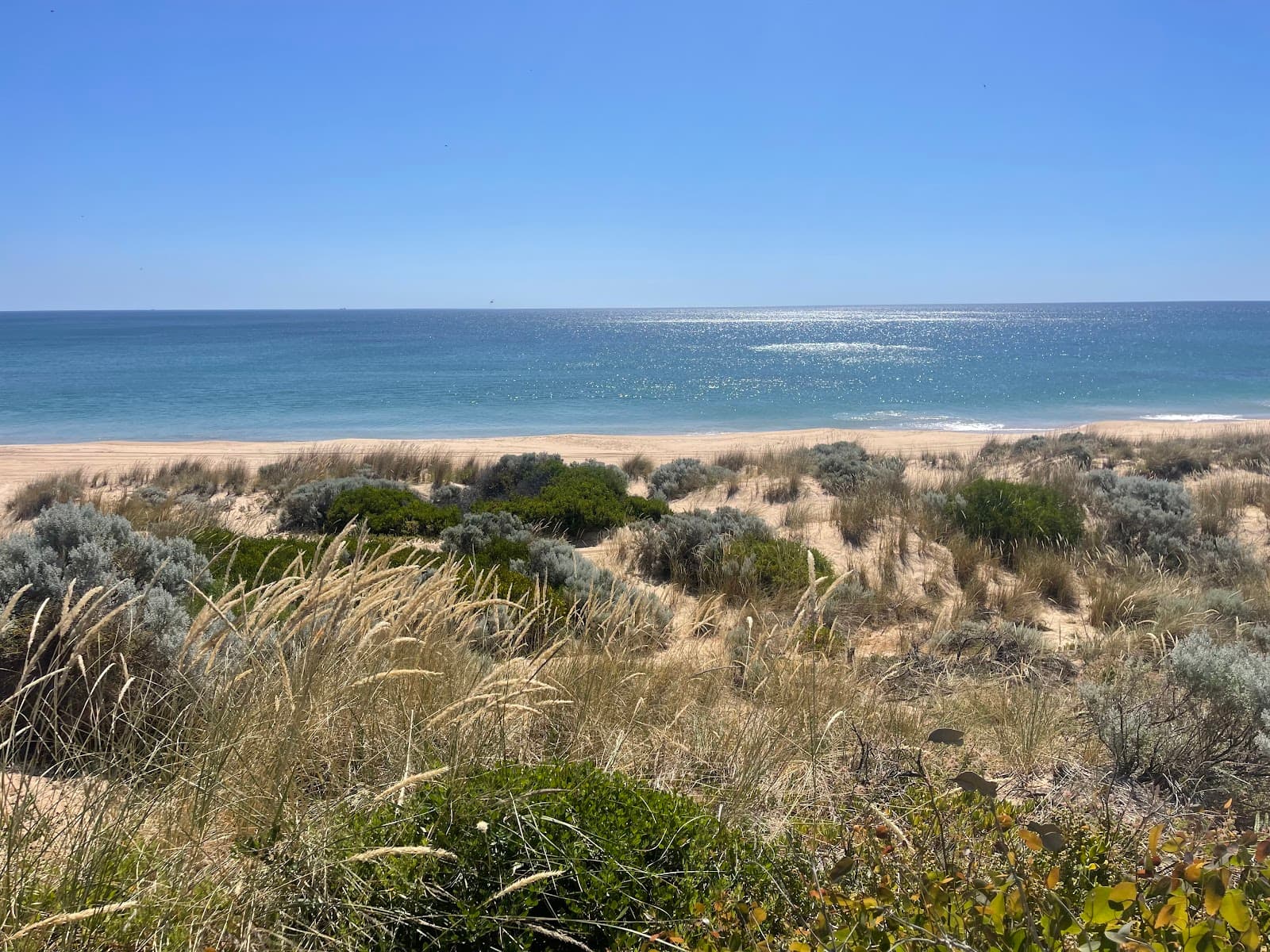 Leschenault Peninsula Conservation Park - Image 1
