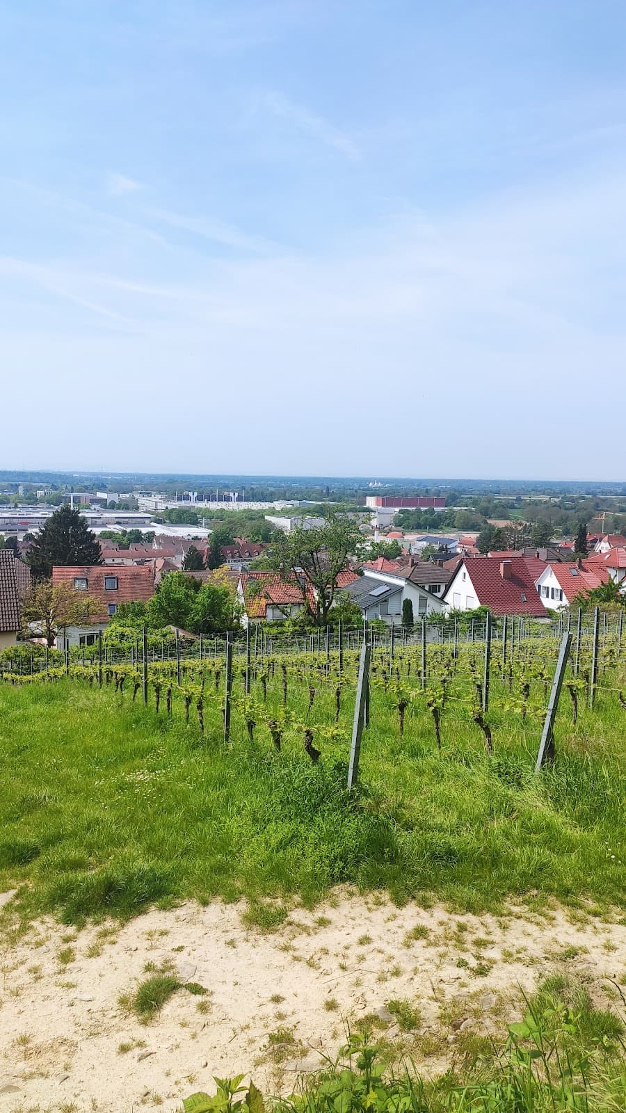 Blütenweg Bergstraße - Image 1