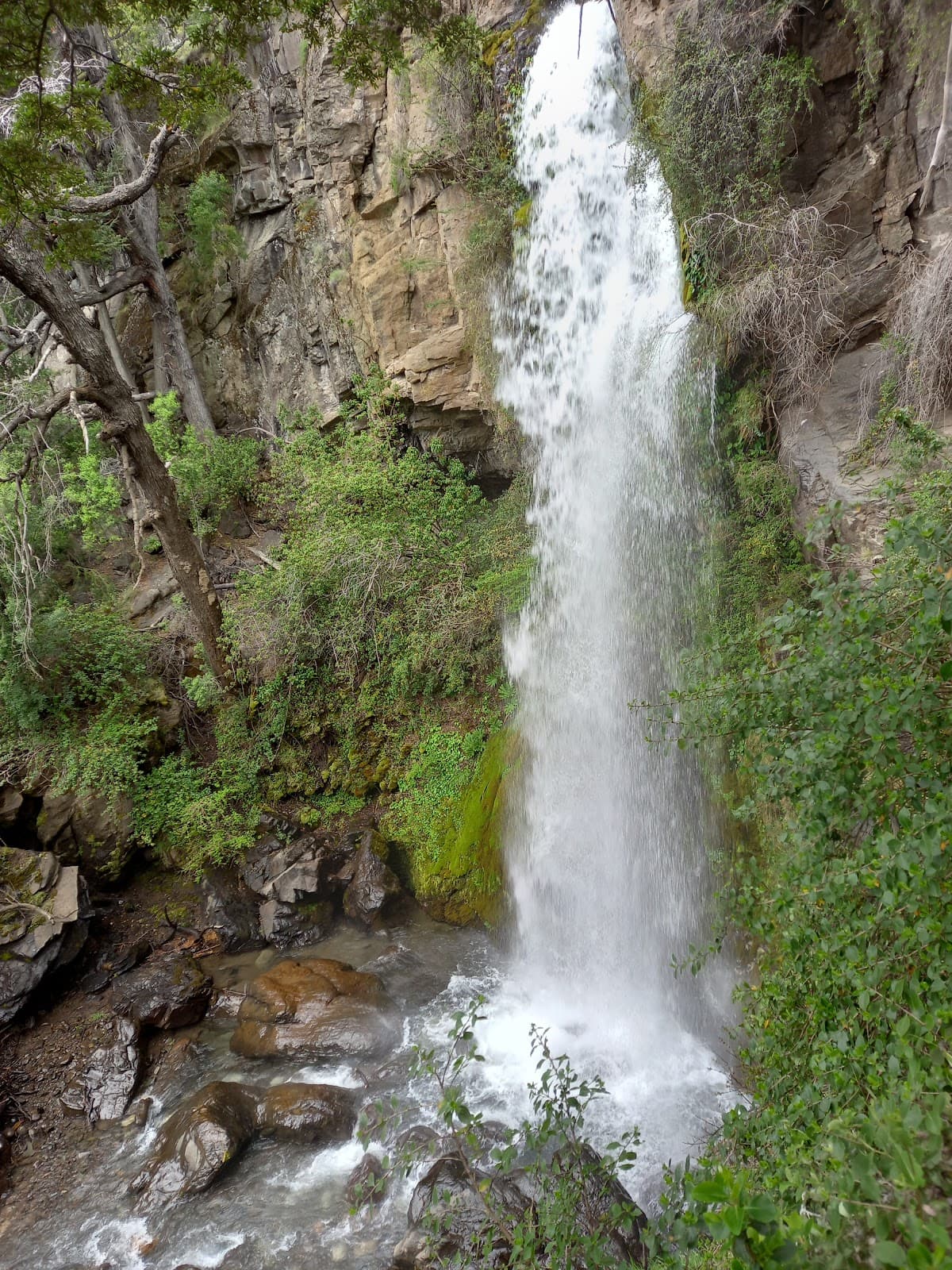 Cascada Irigoyen - Image 1
