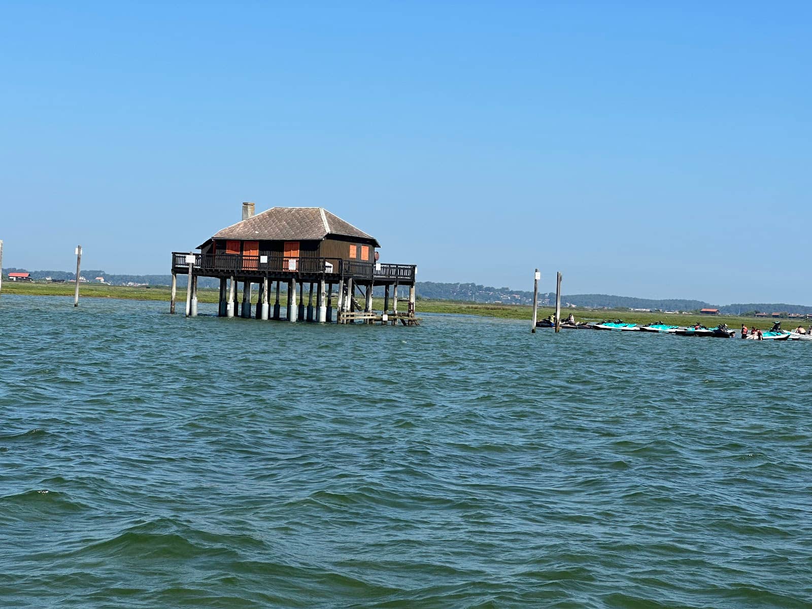 Bird Island's Natural Wetlands