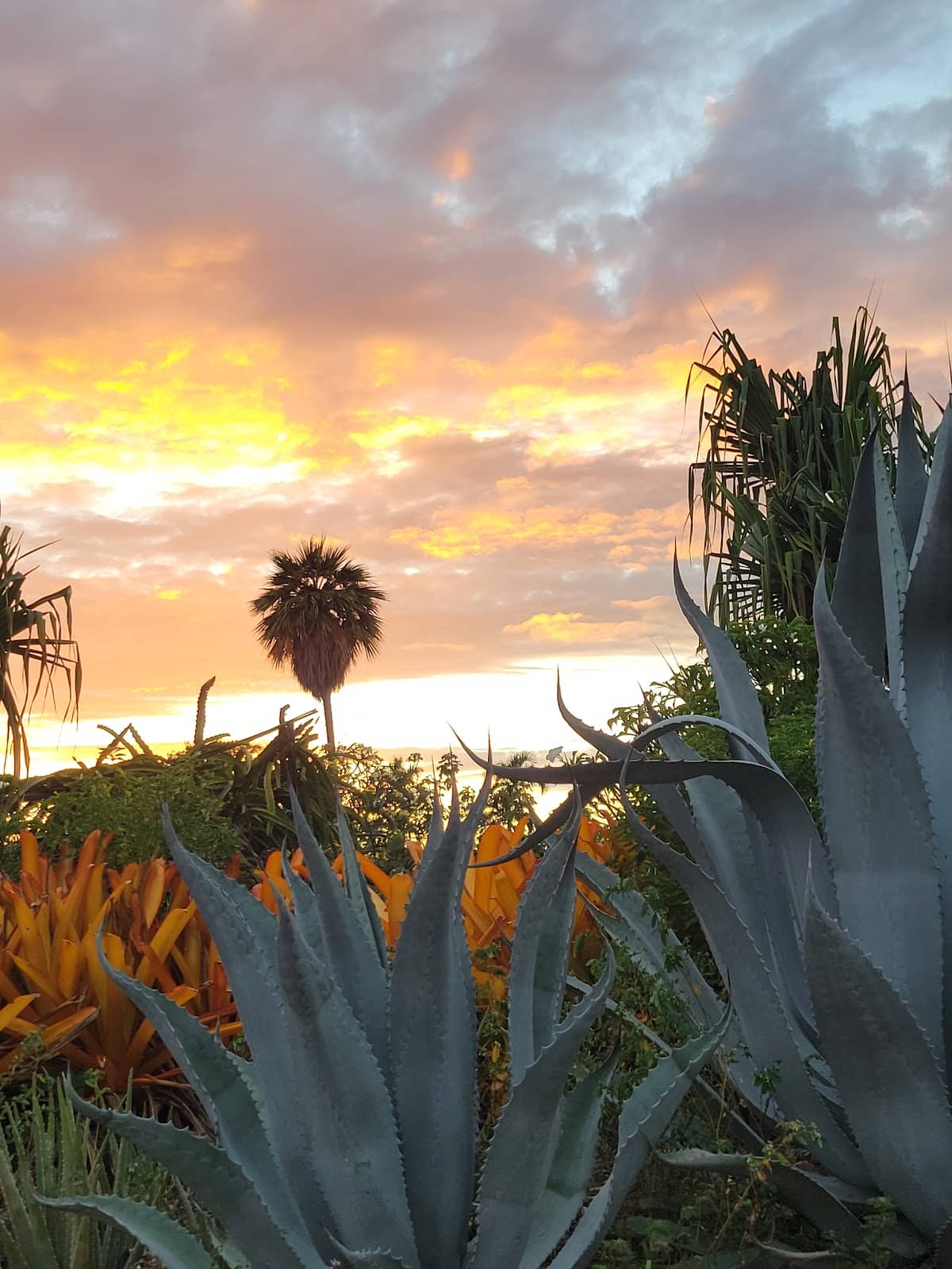 Pololu Valley Lookout