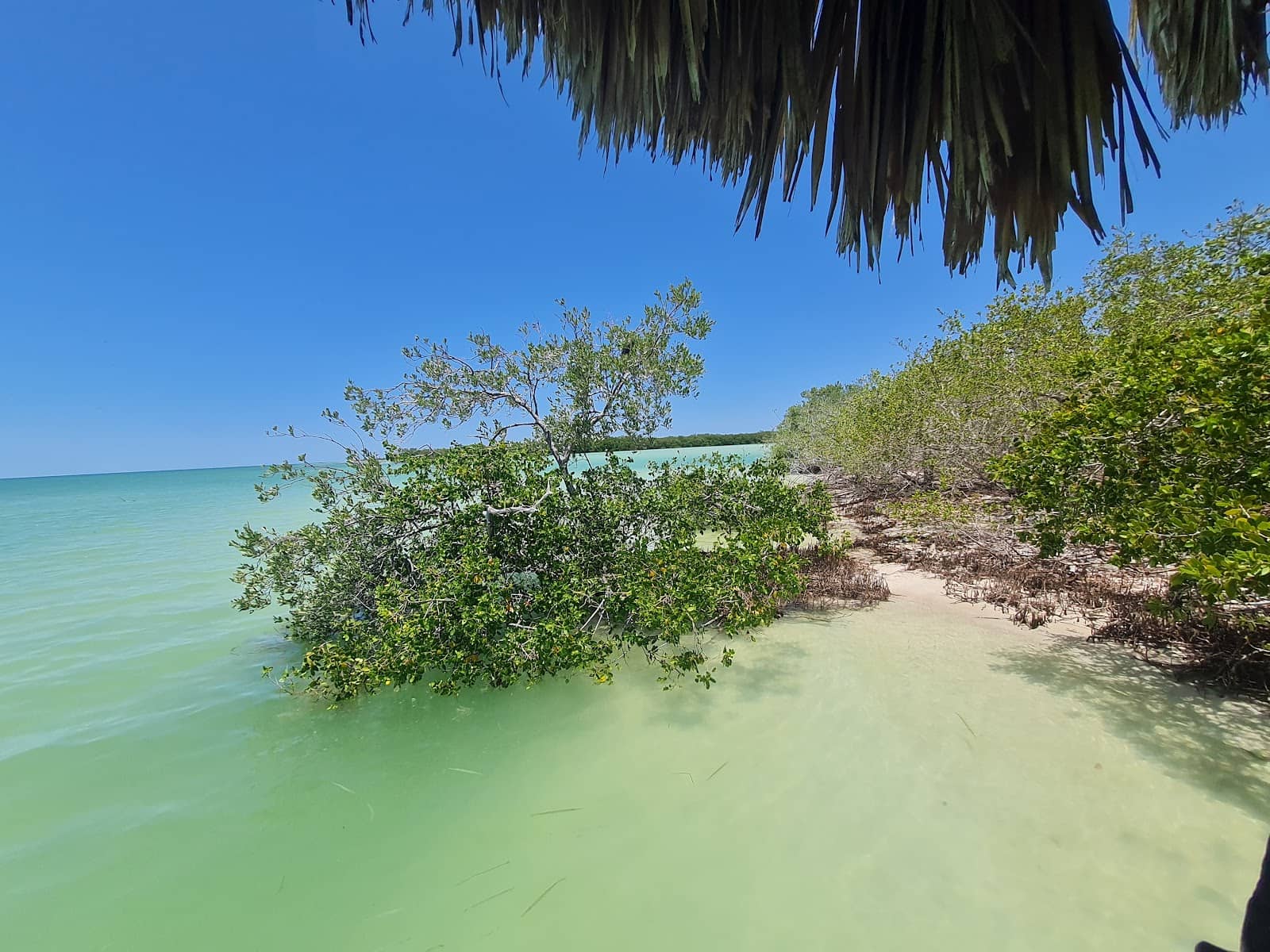 Beach Clubs (Mr. Sancho's, Paradise Beach, Buccanos)