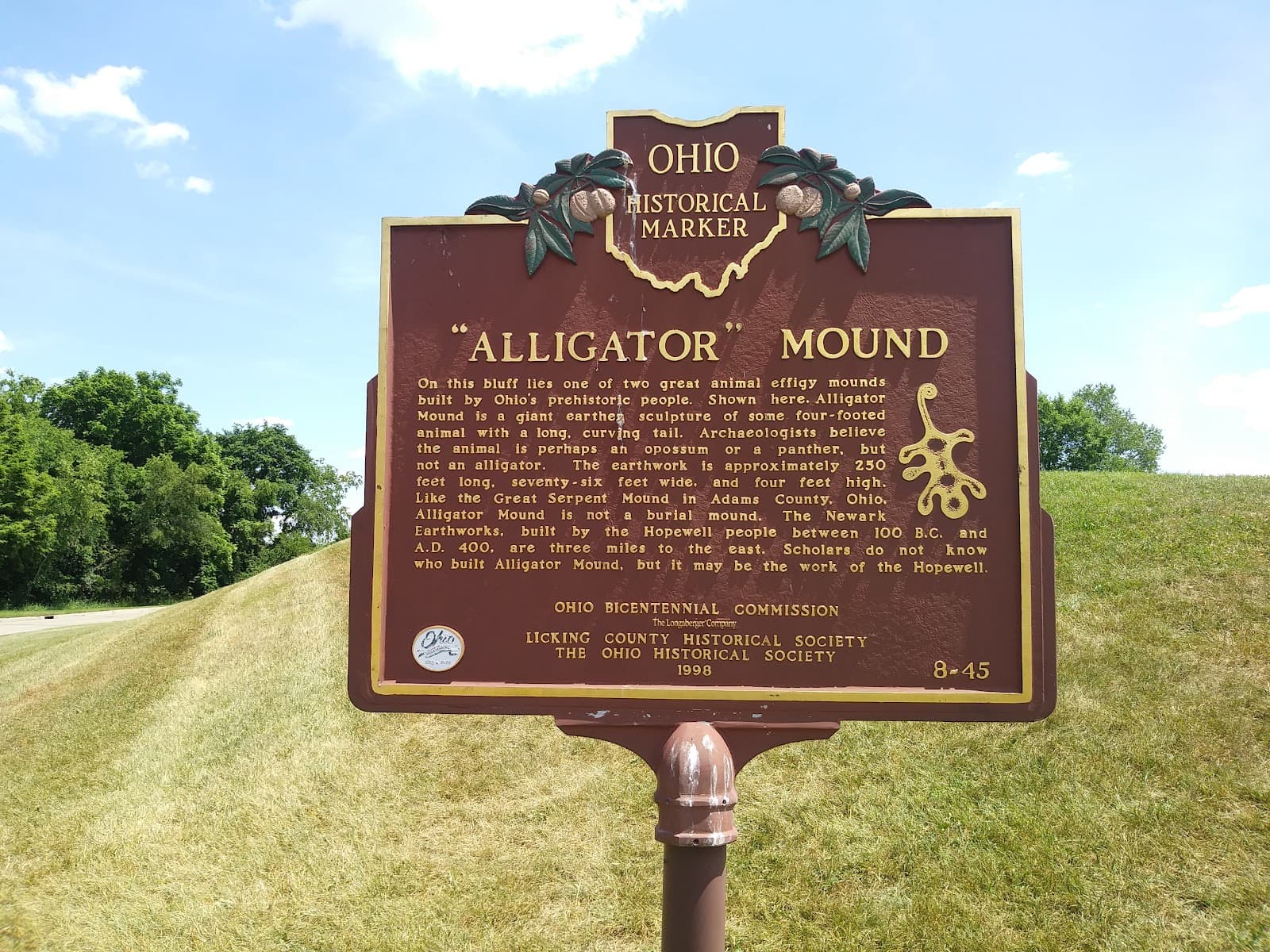 Alligator Mound - Image 1